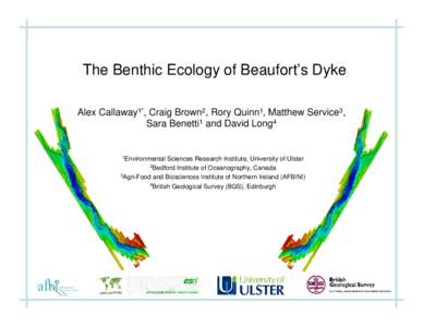 The Physical Environment of Beaufort’s Dyke and its Potential Effect of Resident Fauna