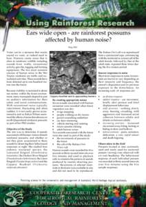 Ears wide open - are rainforest possums affected by human noise? May 2001 The Rufous Owl call was reproduced from a commercial tape, commencing