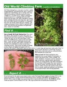 Old World Climbing Fern (Lygodium microphyllum) Old World climbing fern is a non-native vine that is rapidly invading flatwoods, and hardwood and cypress swamps of