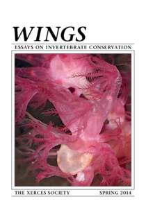 WINGS  ESSAYS ON INVERTEBRATE CONSERVATION THE XERCES SOCIETY