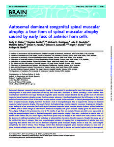 Medical genetics / Spinal muscular atrophies / Distal hereditary motor neuropathies / SMN1 / Anterior horn of spinal cord / Spinal cord / Muscle / Charcot–Marie–Tooth disease / Amyotrophic lateral sclerosis / Motor neurone disease / Anatomy / Genetic genealogy