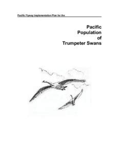 Zoology / Trumpeter Swan / Tundra Swan / Alaska / Bird migration / Whitehorse /  Yukon / Ornithology / Cygnus / Swans
