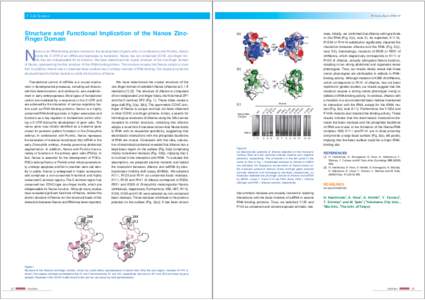 5 Life Science  PF Activity Report 20010 #28 Structure and Functional Implication of the Nanos ZincFinger Domain