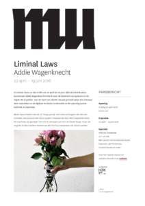 Liminal Laws  Addie Wagenknecht 22 april – 19 juni 2016 In Liminal Laws, te zien in MU van 22 april tot 20 juni, kijkt de Amerikaanse kunstenaar Addie Wagenknecht kritisch naar de betekenis van grenzen en de