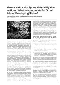 Ocean Nationally Appropriate Mitigation Actions: What is appropriate for Small Island Developing States? Peter Gross, Christine Lancaster, Jason McNamee, Bart Simmons, and Leonard Sonnenschein Ocean N.A.M.A. Network ener