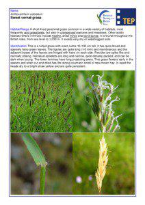 Coumarin / Botany / Biology / Chemistry / Pooideae / Anthoxanthum odoratum / Anthoxanthum