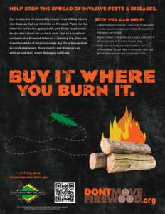 Our forests are threatened by invasive tree-killing insects and diseases that can hitchhike on firewood. Pests like the •  Leave firewood at home – buy local firewood at