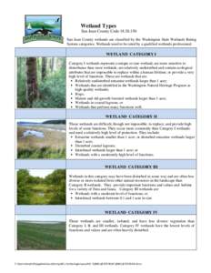 Wetland Types San Juan County Code[removed]San Juan County wetlands are classified by the Washington State Wetlands Rating System categories. Wetlands need to be rated by a qualified wetlands professional.  WETLAND CAT