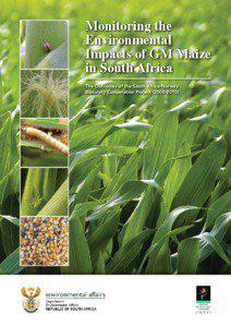 Monitoring the Environmental Impacts of GM Maize