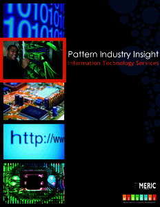 Pattern Industry Insights Brief Information Technology Services Information Technology (IT) Services describes companies that are primarily engaged in the production or management of information technologies. Industry c