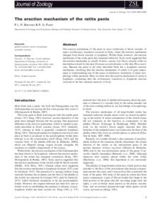 Journal of Zoology Journal of Zoology. Print ISSNThe erection mechanism of the ratite penis P. L. R. Brennan & R. O. Prum Department of Ecology and Evolutionary Biology and Peabody Museum of Natural History, Y