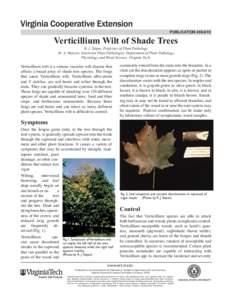 publication[removed]Verticillium Wilt of Shade Trees R. J. Stipes, Professor of Plant Pathology M. A. Hansen, Extension Plant Pathologist, Department of Plant Pathology, Physiology and Weed Science, Virginia Tech,