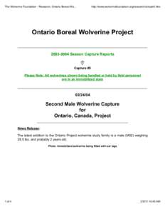 The Wolverine Foundation - Research, Ontario Boreal Wo...  http://www.wolverinefoundation.org/research/ontcptr5.htm Ontario Boreal Wolverine Project