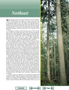 Northeast hen European settlers arrived in the land that is now the northeastern United States, they found a vast forest with rich living resources. Stretching from the Coastal Plains to the Mississippi River was an envi