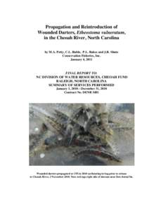 Propagation and Reintroduction of Wounded Darters, Etheostoma vulneratum, in the Cheoah River, North Carolina by M.A. Petty, C.L. Ruble, P.L. Rakes and J.R. Shute Conservation Fisheries, Inc. January 4, 2011