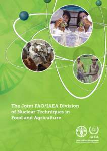 The FAO Strategic Objectives