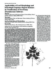 HORTSCIENCE 40(2):329–[removed]Applicability of Leaf Morphology and