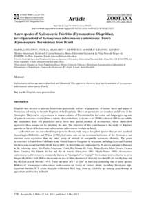 A new species of Szelenyiopria Fabritius (Hymenoptera: Diapriidae), larval parasitoid of Acromyrmex subterraneus subterraneus (Forel) (Hymenoptera: Formicidae) from Brazil