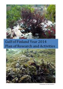 Gulf of Finland Year 2014 Plan of Research and Activities © Metsähallitus 2010 Mats Westerbom  .