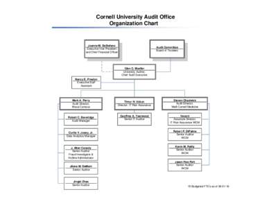 Cornell University Audit Office Organization Chart Joanne M. DeStefano Executive Vice President and Chief Financial Officer