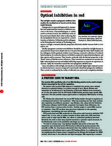 Neuroscience: Optical inhibition in red