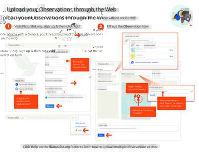 Upload your Observations through the Web If you took photos with a camera, you’ll need to upload them as observations on the web 1  2