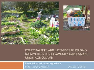 POLICY BARRIERS AND INCENTIVES TO REUSING BROWNFIELDS FOR COMMUNITY GARDENS AND URBAN AGRICULTURE