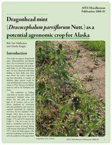 AFES Miscellaneous Publication[removed]Dragonhead mint (Dracocephalum parviflorum Nutt.) as a potential agronomic crop for Alaska