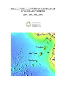 Republics / São Tomé and Príncipe / São Tomé Island / São Tomé / Gulf of Guinea / Phrynobatrachus dispar / Ptychadena newtoni / Wildlife of São Tomé and Príncipe / São Tomé /  Príncipe /  and Annobón moist lowland forests / Geography of Africa / Africa / Earth