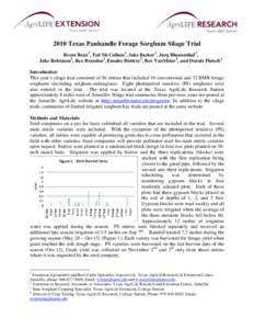 2002 Texas Panhandle Forage Sorghum Silage Trail