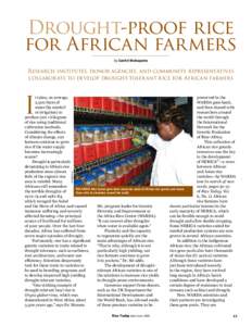 Tropical agriculture / Food and drink / Rockefeller Foundation / Agronomy / New Rice for Africa / Africa Rice Center / Plant breeding / International Rice Research Institute / Drought tolerance / Rice / Agriculture / Biology