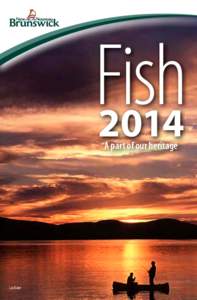Recreational fishing / Angling / Miramichi River / Salmon / Cains River / Atlantic salmon / Fishing / Artificial fly / Restigouche River / Fish / Northumberland County /  New Brunswick / Fly fishing