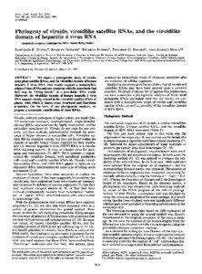 Proc. Natl. Acad. Sci. USA Vol. 88, pp[removed], July 1991