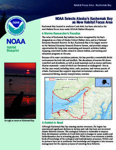 Kachemak Bay / National Estuarine Research Reserve / Kenai Peninsula / Fisheries / Port Graham /  Alaska / Seldovia /  Alaska / Ecology / Estuary / Kachemak /  Alaska / Geography of Alaska / Geography of the United States / Alaska