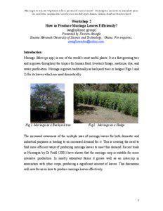 Moringa et autres végétaux à fort potentiel nutritionnel : Stratégies, normes et marchés pour un meilleur impact sur la nutrition en Afrique. Accra, Ghana, 16-18 novembre 2006