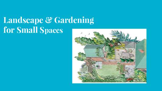 Landscape & Gardening for Small Spaces The Little House by Virginia Lee Burton  Key Components