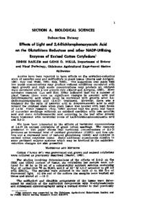 Effects of Light and 2,4-Dichlorophenoxyacetic Acid on the Glutathione Reductase and Other NADP-Utilizing Enzymes of Excised Cotton Cotyledons