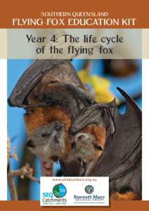 SOUTHERN QUEENSLAND  FLYING-FOX EDUCATION KIT Year 4: The life cycle of the flying-fox