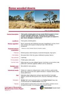 Human geography / Livestock / Barkly Tableland / Northern Territory / Soil / Grassland / Grazing / Grass / Agriculture / Tropical and subtropical grasslands /  savannas /  and shrublands / Land management