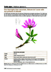 Trèfle alpin | Trifolium alpinum L.  Une fourragère bien enracinée, libérant de l’azote utile aux pelouses d’altitude. Le Trèfle alpin est présent dans les pelouses d’altitude des montagnes granitiques. Il ne