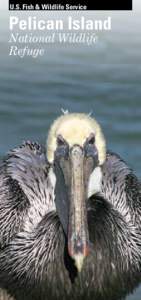 U.S. Fish & Wildlife Service  Pelican Island National Wildlife Refuge