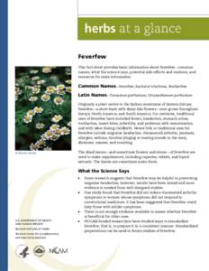 Feverfew This fact sheet provides basic information about feverfew—common names, what the science says, potential side effects and cautions, and resources for more information.  Common Names—feverfew, bachelor’s bu