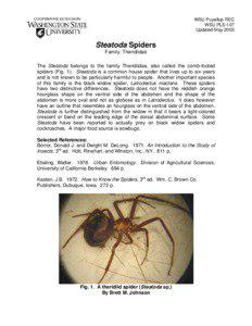 Microsoft Word - PLS 107 Steatoda spider