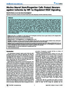 Murine Neural Stem/Progenitor Cells Protect Neurons against Ischemia by HIF-1a–Regulated VEGF Signaling Kate M. Harms, Lu Li, Lee Anna Cunningham* Department of Neurosciences, University of New Mexico Health Sciences C