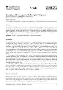 Descriptions of five new species of the Neotropical Mictopsichia group of genera (Lepidoptera: Tortricidae)