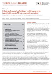 Working Paper  Bringing clean, safe, affordable cooking energy to households across Africa: an agenda for action Background paper to the Africa Progress Panel 2015 report Power, People, Planet: Seizing Africa’s Energy 