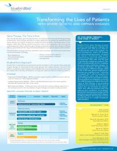 Stem cells / Biotechnology / Emerging technologies / Bioethics / Gene therapy / Thalassemia / Beta-thalassemia / Sickle-cell disease / Adrenoleukodystrophy / Medicine / Health / Biology