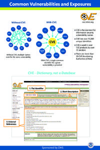 Common Vulnerabilities and Exposures  With CVE Without CVE IBM