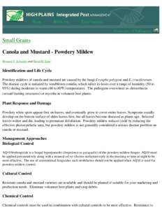 Canola and Mustard - Powdery Mildew