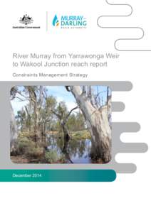 River Murray from Yarrawonga Weir to Wakool Junction reach report